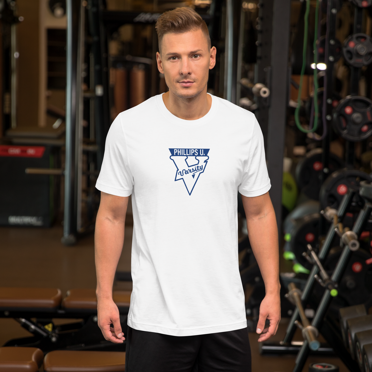 V logo (blue)